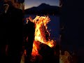 13 March 2025 |Holika Dahan 2025 |Holika Dahan #youtube shorts  #shorts#trending #holi #holispecial