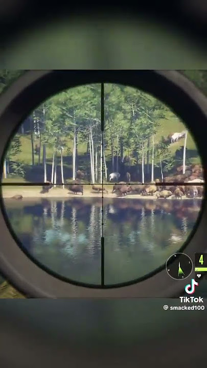 hunting game #shortvideo #best #youtubeshorts #hunting #hunter #animals #bison