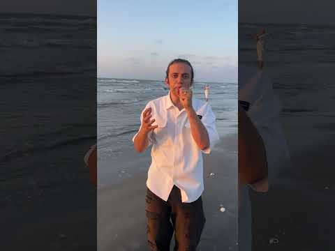 ابانوب فلكس خلي الطياره تطير علي الشاطي بالبيت بوكس