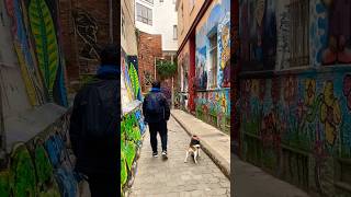 Recorriendo los cerros de #valparaiso #chile #viñadelmar #travelvlog #traveldog