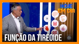 Conheça as funções da tireoide em nosso corpo