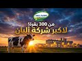 300 بقرة بس إزاي سيطروا على سوق الألبان في مصر مزارع دينا