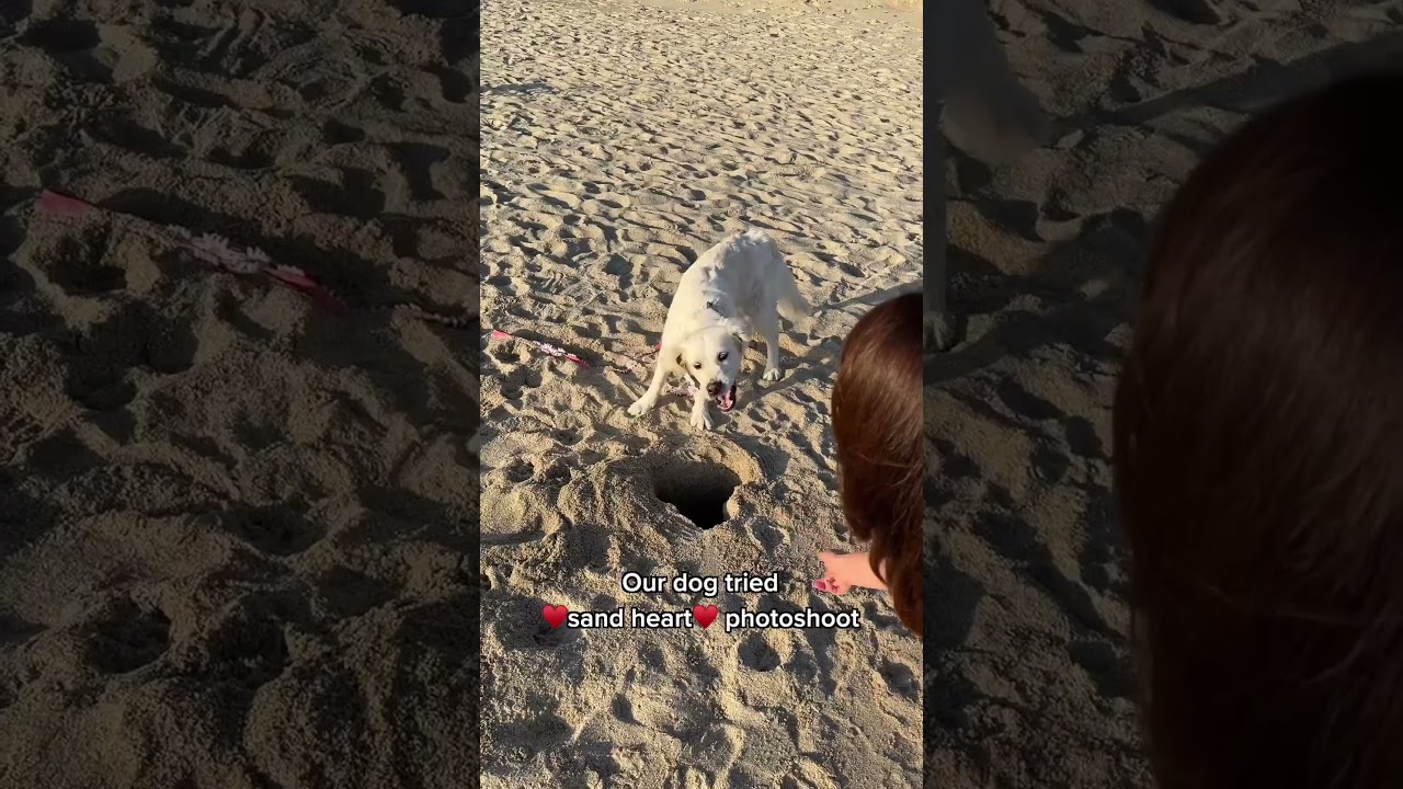 Sand Heart Photoshoot with my Dog!