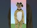 POP Goes The Weasel! | Nursery Rhymes for Kids - Funtastic Playhouse #shorts