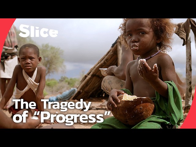 The Mikea Paradox: when "progress" erases ancient knowledge | SLICE