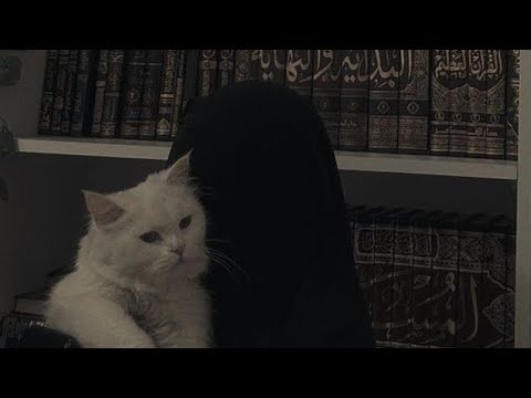 سورة الإنسان كاملة بصوت محمد اللحيدان التلاوةالمشهورة كروما قرآن كريم شاشة سوداء 