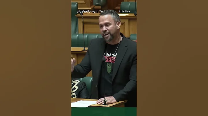 Tākuta Ferris stands up for Te Pāti Māori during Privileges Committee Report debate