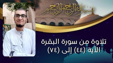 تلاوة هادئة من سورة البقرة الآية (٤٤) إلى (٧٤) القارئ عبد الرحمن طحلة