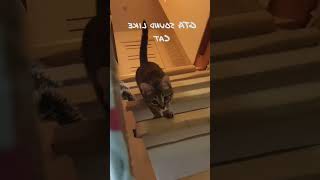 YouTube Video ID CeIY3NDqJD8 — Full Video & Details