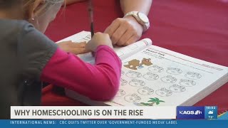 Why more parents are turning to homeschooling their children
