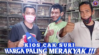 PALING MURAH !!! HARGA BURUNG CISEM, MARINTIN, SALOME, AMBULAN, JONGKANGAN DLL, KIOS CAK SURI