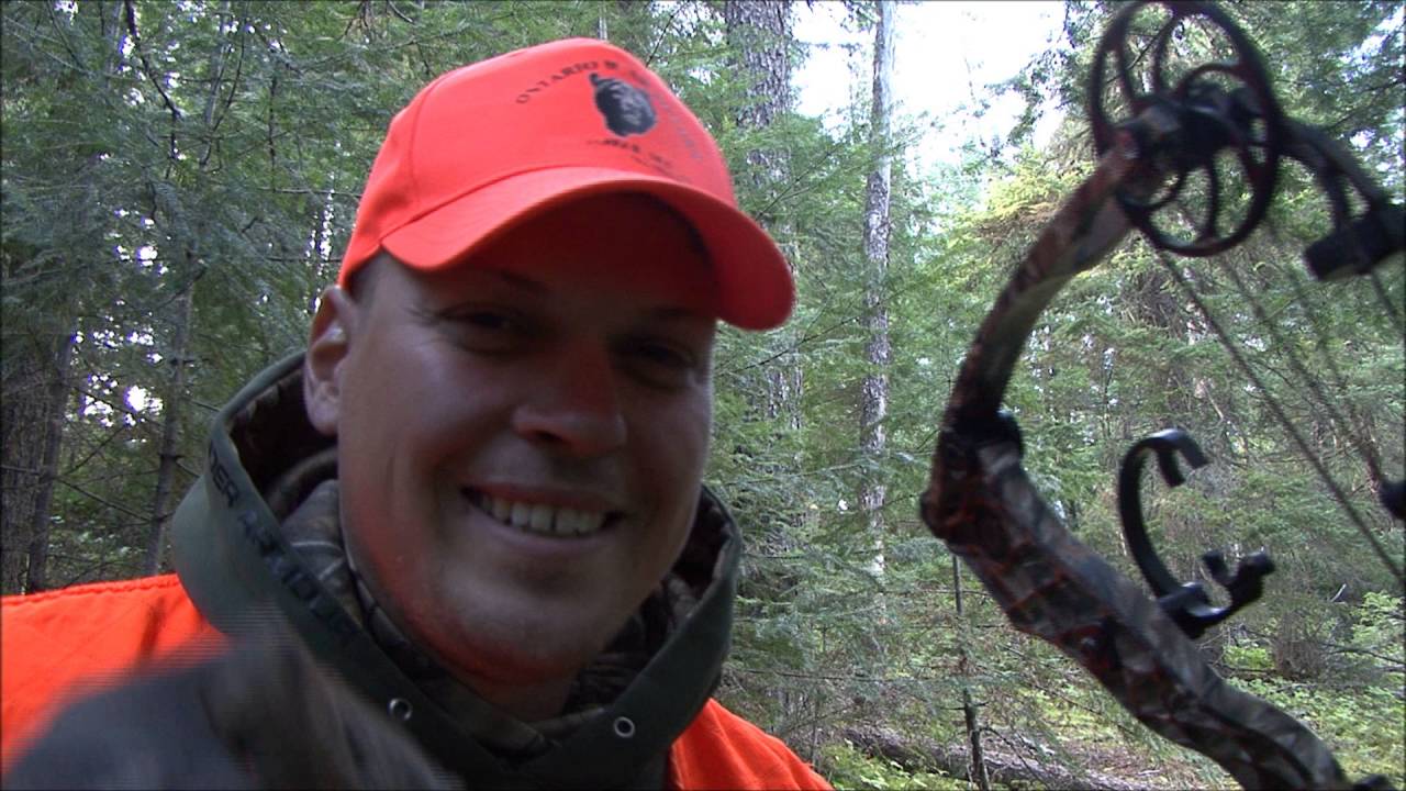 Ontario Archery Bear Hunt from the ground! YouTube