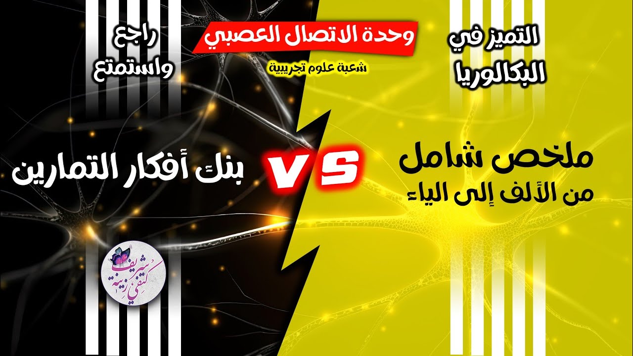 🔥ملخص شامل للاتصال العصبي× افكار التمارين |بكالوريا 2024 🎯راجع واستمتع