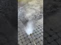Paver Pressure Washing in Lake Oswego, OR | Paver Driveway Cleaning