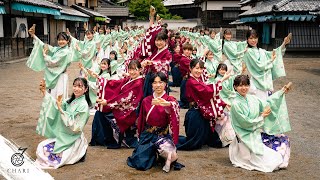 【8K】早稲田大学 東京花火『うらら』（Tokyo Hanabi 2022 “Urara”）#よさこい