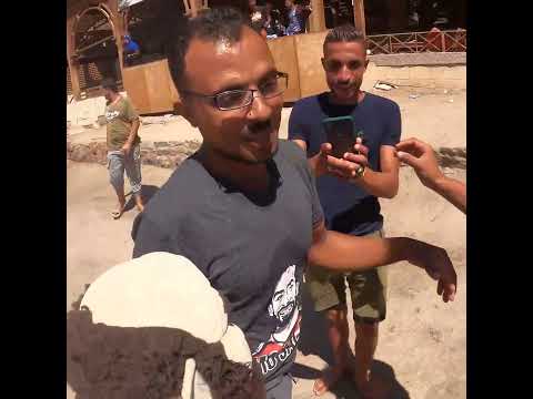 البلو هول دهب مع الدمية لولو 1