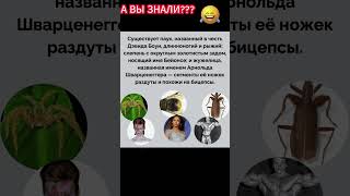 А Вы Знали? Historical Figures #Historical #Facts #Shorts #Myth #Legend