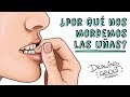 ¿POR QUÉ NOS MORDEMOS LAS UÑAS? | Draw My Life