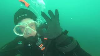 Diving in Kaikoura with the NCDC November 2021