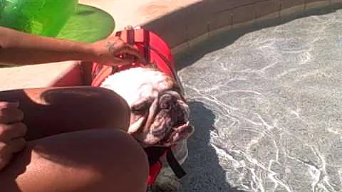 Lenny Loving the Pool