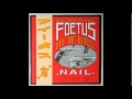 Foetus - Nail - Enter the Exterminator