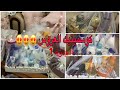 كوسميتيك العروسة 2022 جزء الاول مع كيفية التنظيم و التزيين 