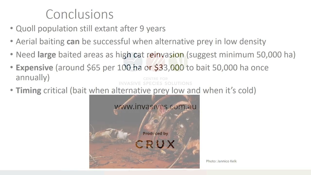 The use of baiting for feral cat control