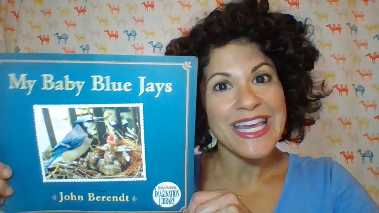 My Baby Blue Jays by John Berendt YouTube