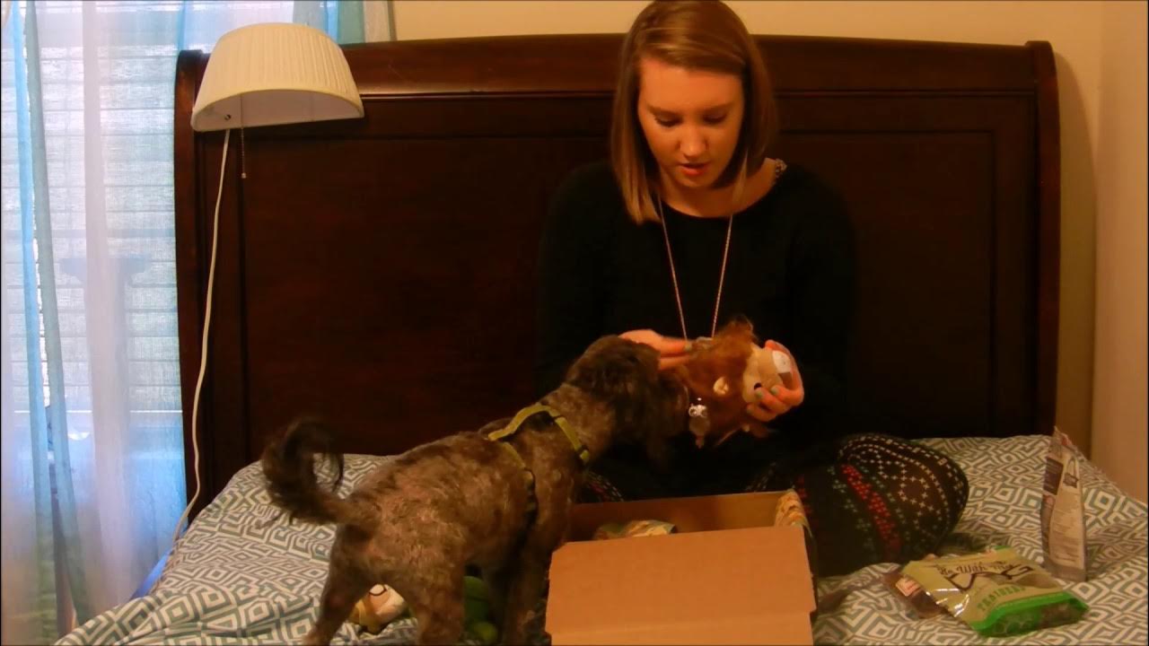 February Bark Box YouTube