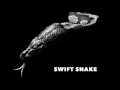 Swift Snake - Guitar Pro 5
