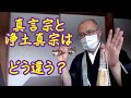 真言宗と浄土真宗はどう違う。実は浄土真宗の方が難しい?真言宗と他宗の違い➀