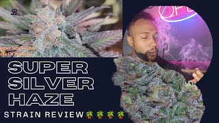 Super Silver Haze Strain Review + (Medical Benefits & Terpene Profile)