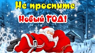 А Вот И Я, Ваш Новогодний Кролик! Танцуют Все!