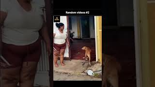 Random Videos Part 2 😂 | Internet Ke Sabse Funny Moments