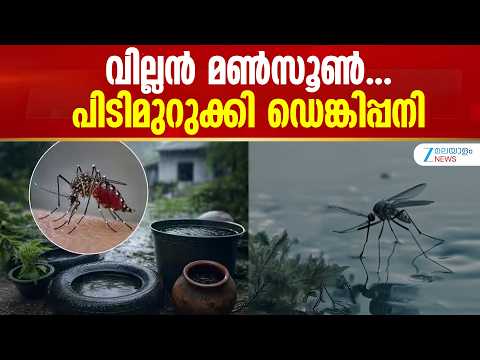 Kerala Dengue Forecast | കേരളത്തിൽ 2040-ഓടെ ഡെങ്കിപ്പനി ബാധിതർ 20 ശതമാനം വരെ ഉയരാമെന്ന് പഠനം