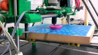 One of our first Reprap prints