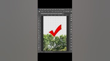 Remove Tree Background in Seconds Using Photoshop Pro Tricks! #photoshop #graphicdesign #shorts