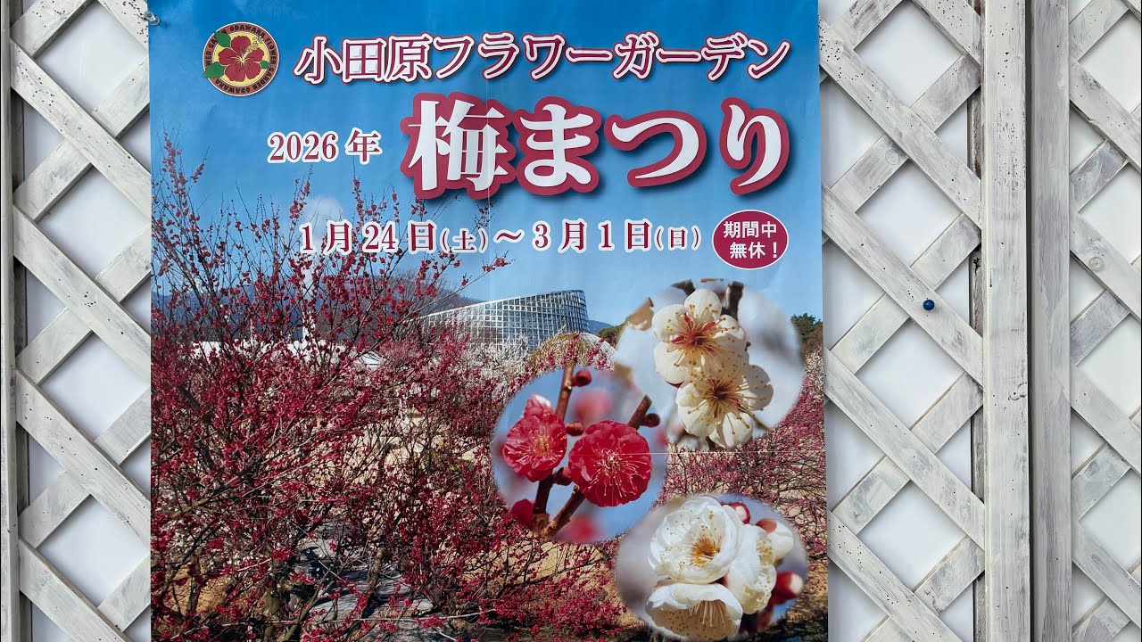 梅まつり　2026.2.12