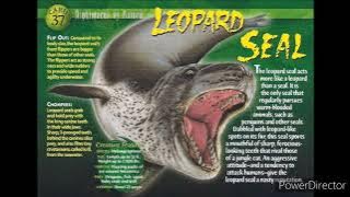 leopard seal sound effects
