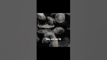 ما تيسر من سورة المعـارِج / إِنَّ الْإِنْسَانَ خُلِقَ هَلُوعًا