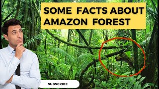 Uncovering the Secrets of the Amazon: What Lies Beneath the World's Largest Rainforest?
