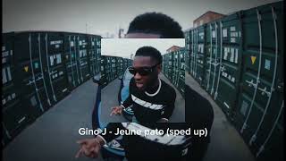 Gino J - Juene Pato Sped Up