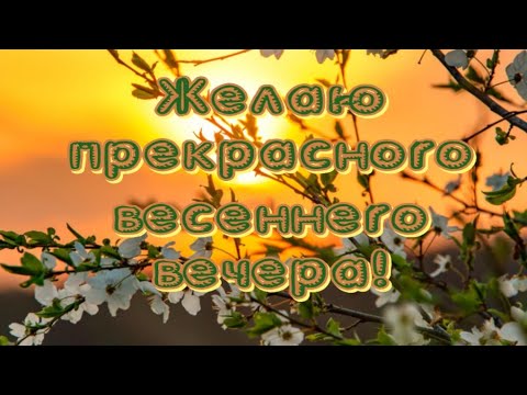 ДОБРОГО ВЕЧЕРА🥰СПОКОЙНОЙ НОЧИ 🥱ЧУДЕСНЫХ СНОВ💤 Музыкальная открытка для друзей🎶Очень красивая музыка