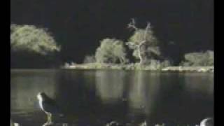Night Hunting  Pete's Pond  January 9, 2009 screenshot 4