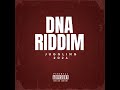 Supa Sting - DNA Riddim (Remix) Juggling 2024