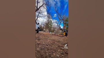 Using skid steer as a lift #tree #treeworker #stihl #chainsaw #viral #johndeere #life #timber