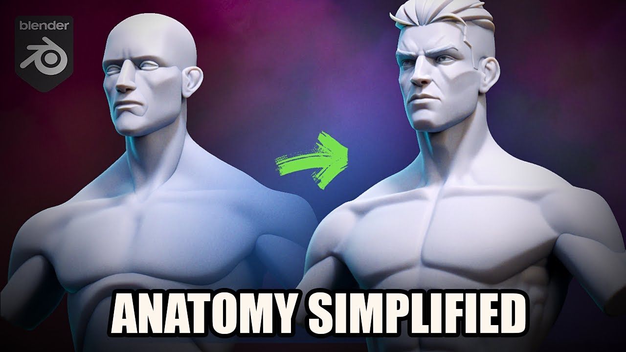 Stylized Torso Anatomy Without Overthinking (Blender Tutorial)