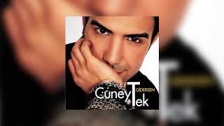 Cüneyt Tek - Gidersen Resimi