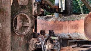 Advanced Sawmill Machine Producing Flawless Wood Planks