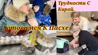 Норильск/Куличи не пеку🥮/Куда повезли кошку/Дома нет еды🙄